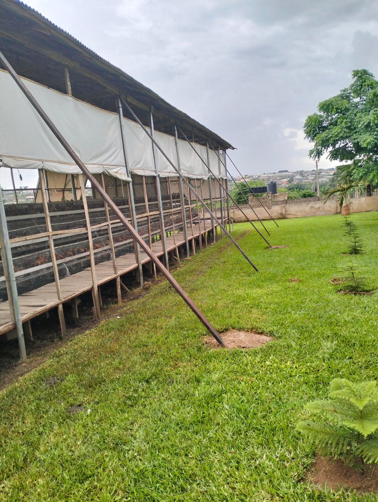 Growing For Good- The Wholeagri Story